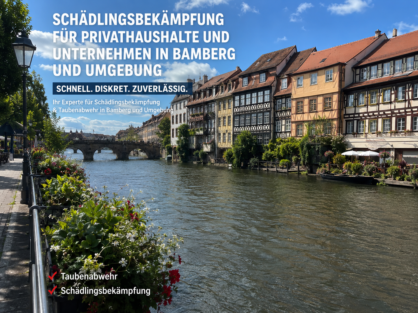 Schädlingsbekämpfung in Bamberg und Umgebung